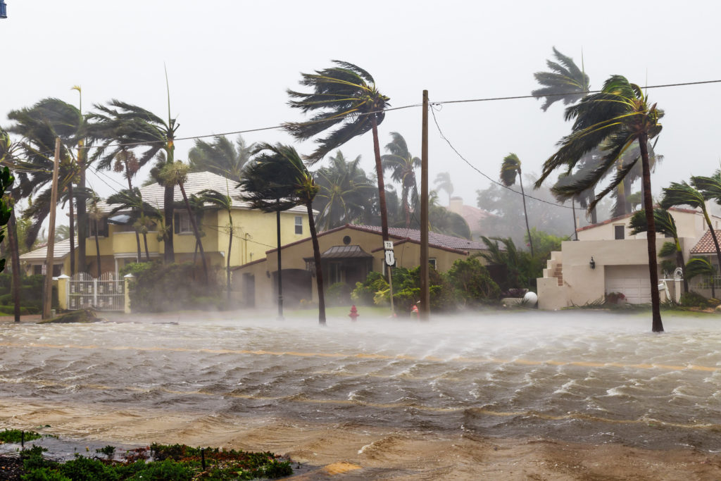 Hurricane, storm, winds