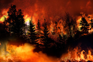 Apple wildfire in California