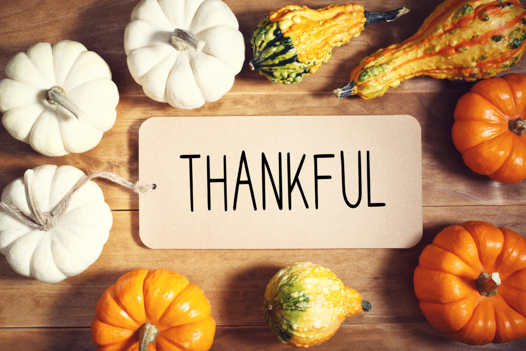 thank you sign surrounded by pumpkins and other thanksgiving decor