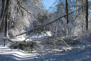 Ice Jam Breaches Levee and Floods Area