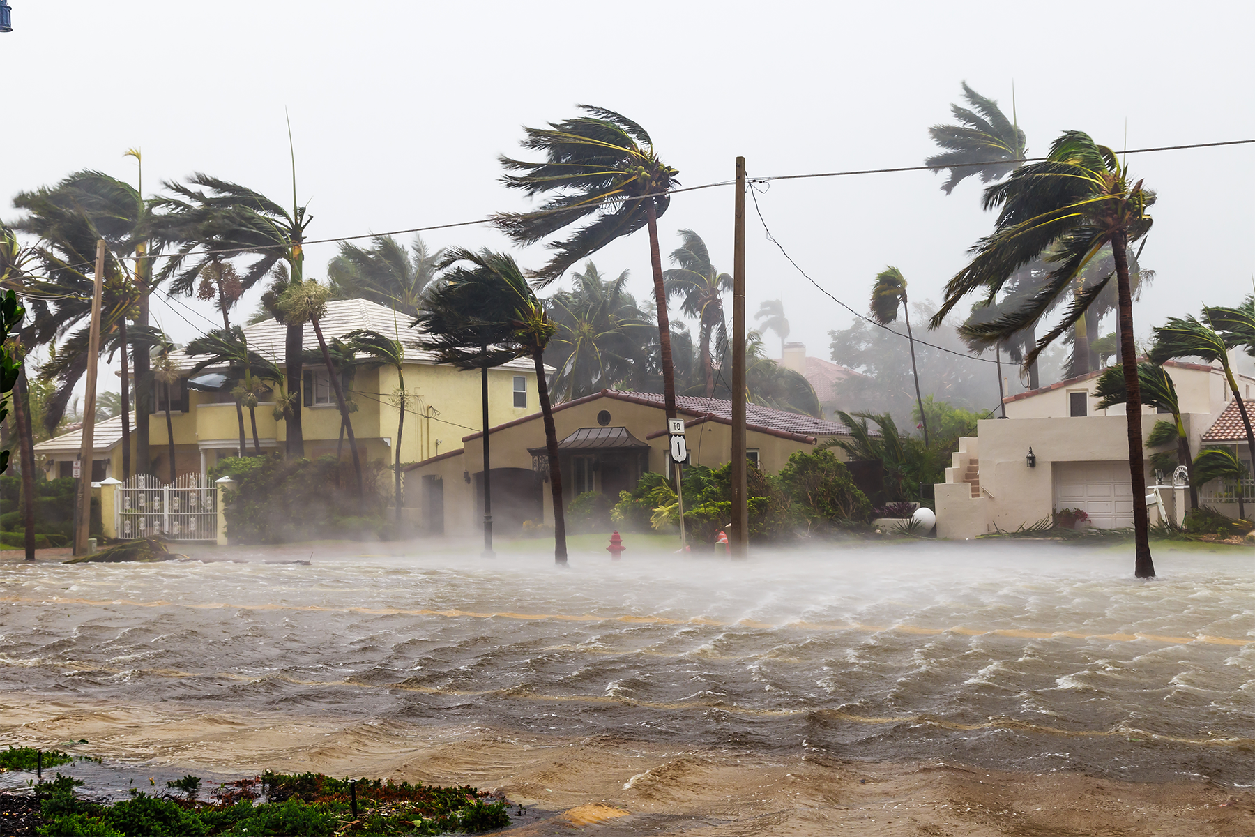 Hurricane Debby: A Powerful Reminder of Nature's Fury