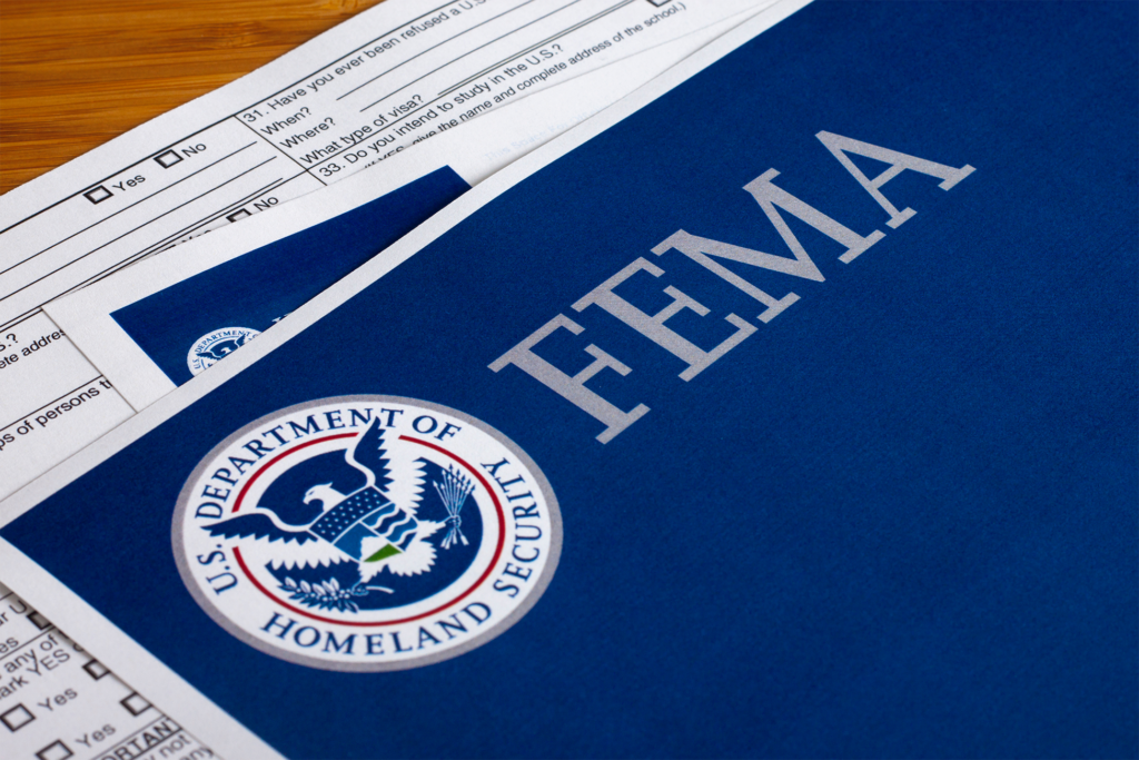 FEMA BRIC