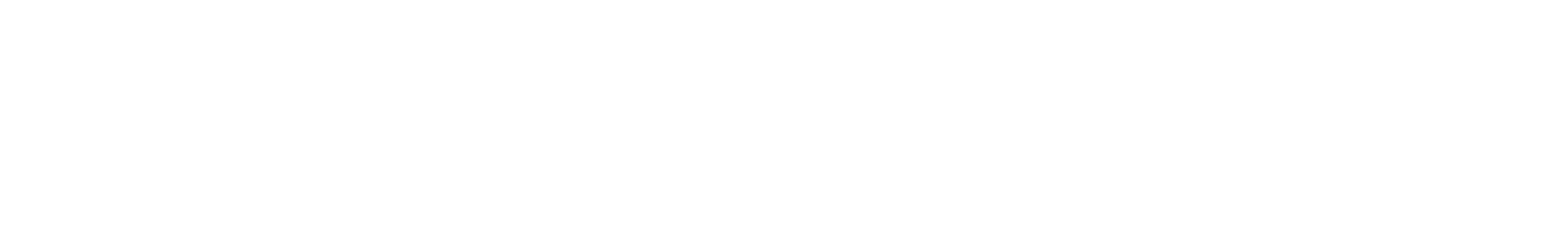 Petrone Risk logo.